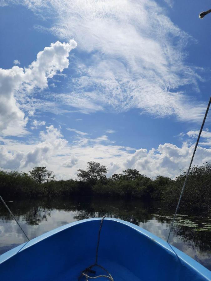 Hotel Colibri Peten Flores Extérieur photo